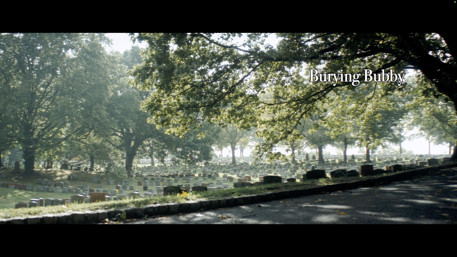 Burying Bubby poster or production image